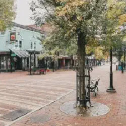 /img/370-vermont-scenery.webp