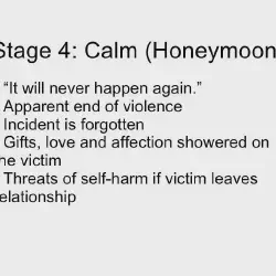 /img/375-honeymoon-abuse-cycle-image7.webp
