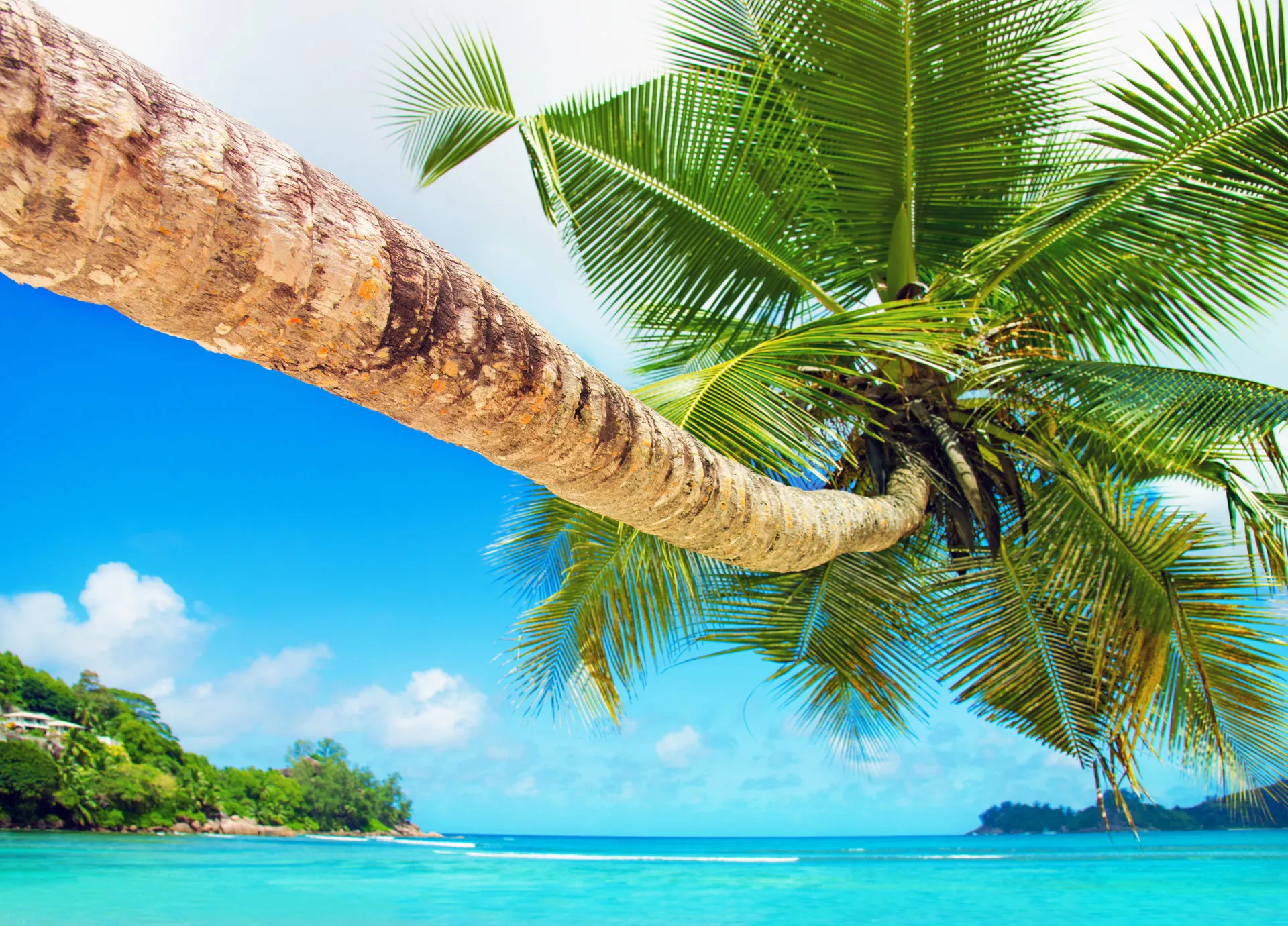 380 fiji honeymoon