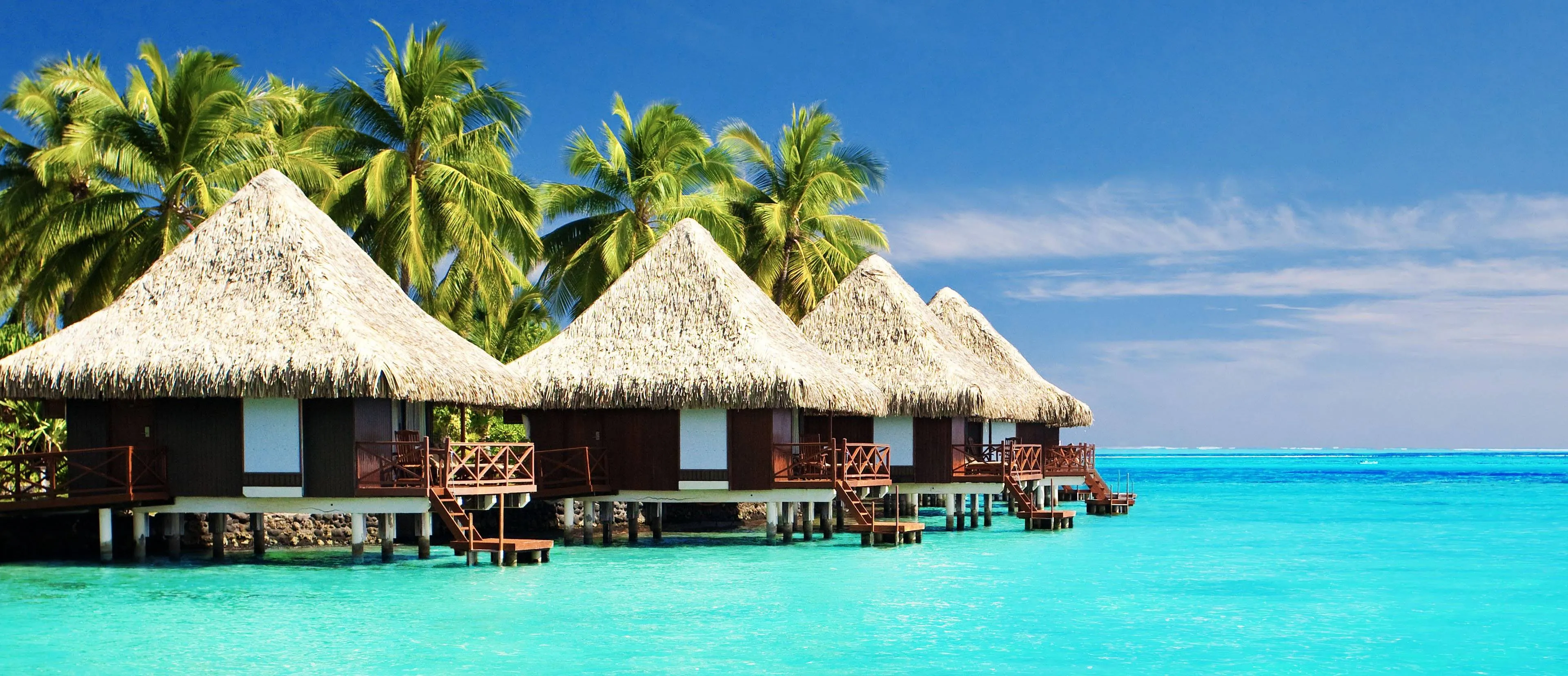 /img/384-swiss-honeymoon.webp