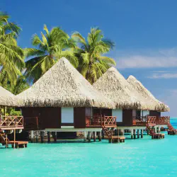 /img/384-swiss-honeymoon.webp