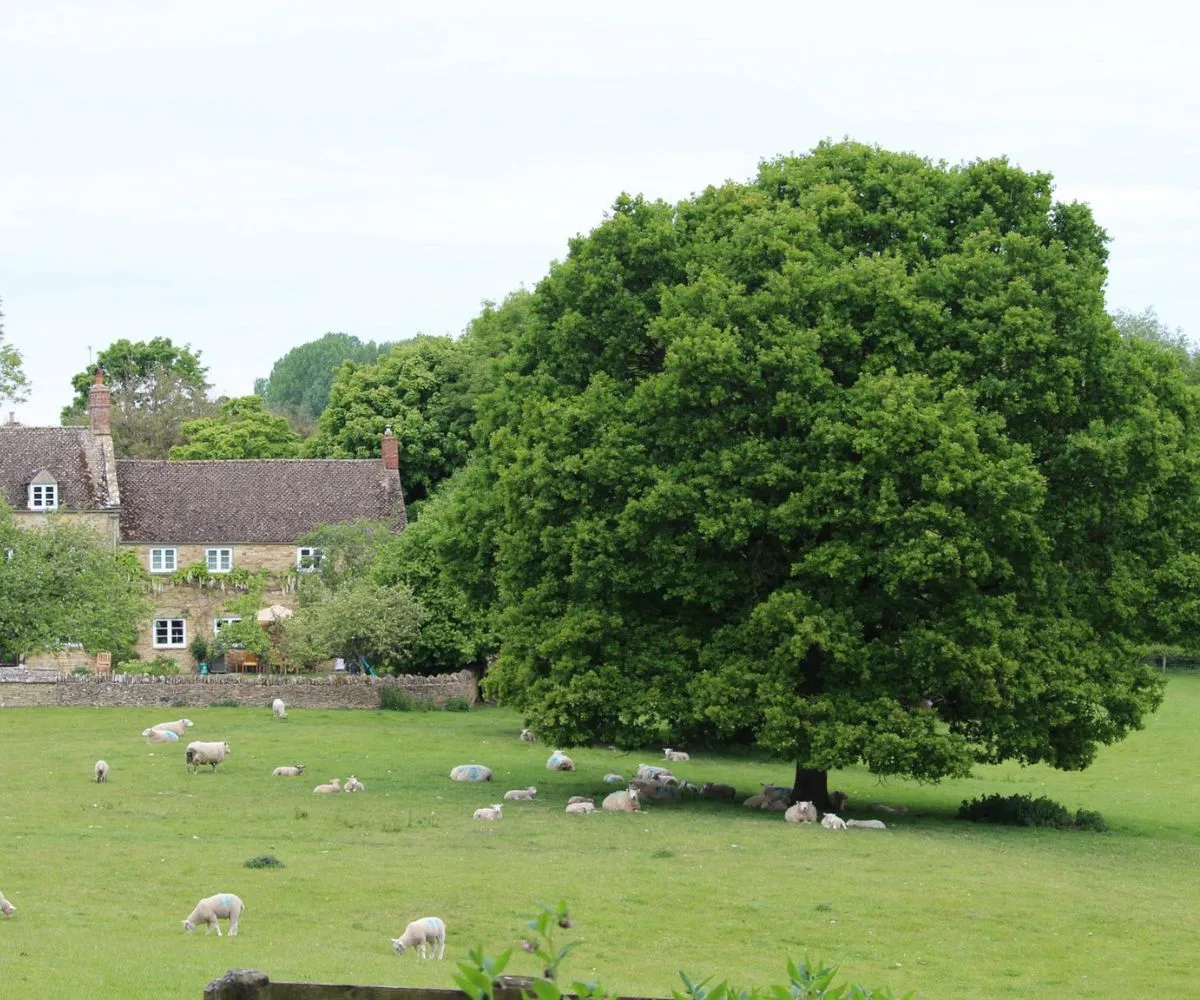 388 cotswold honeymoon activity