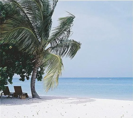 391 st lucia resort
