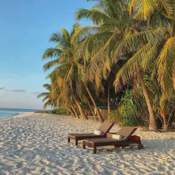 /img/395-romantic-dinner-honeymoon.webp