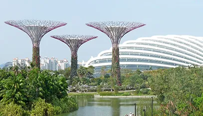 404 singapore ultimate experience