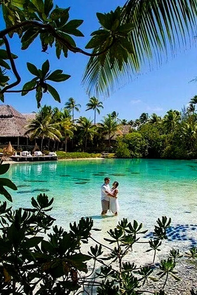 406 honeymoon couple