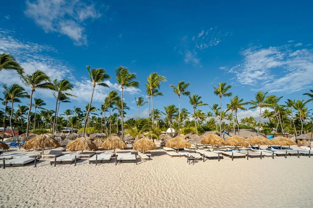 419 excellence punta cana