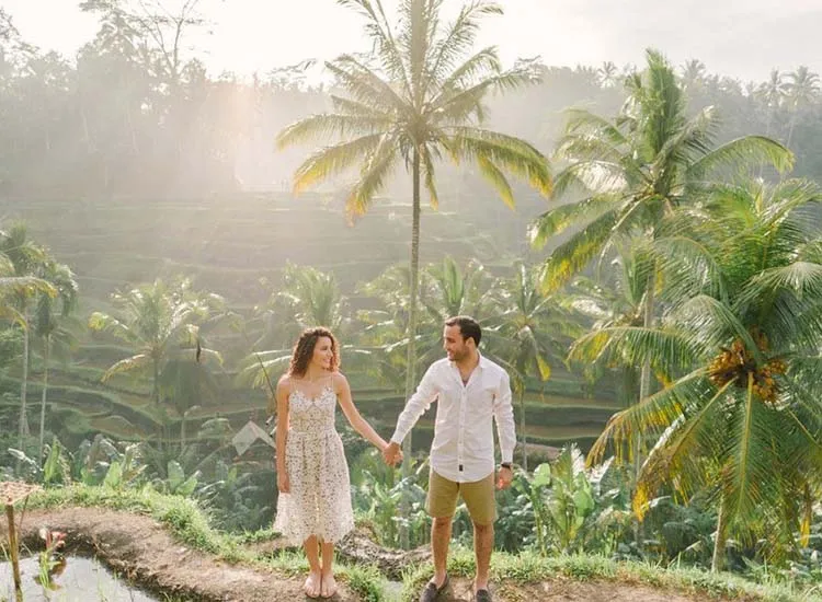422 goa honeymoon