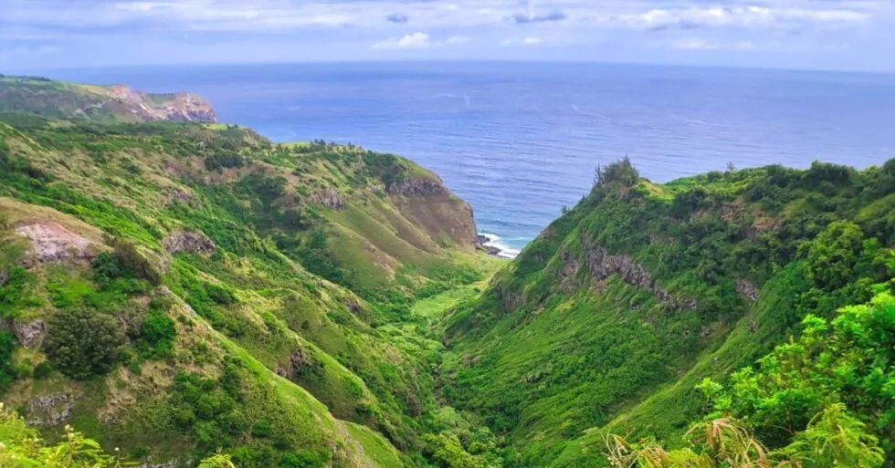 439 maui honeymoon