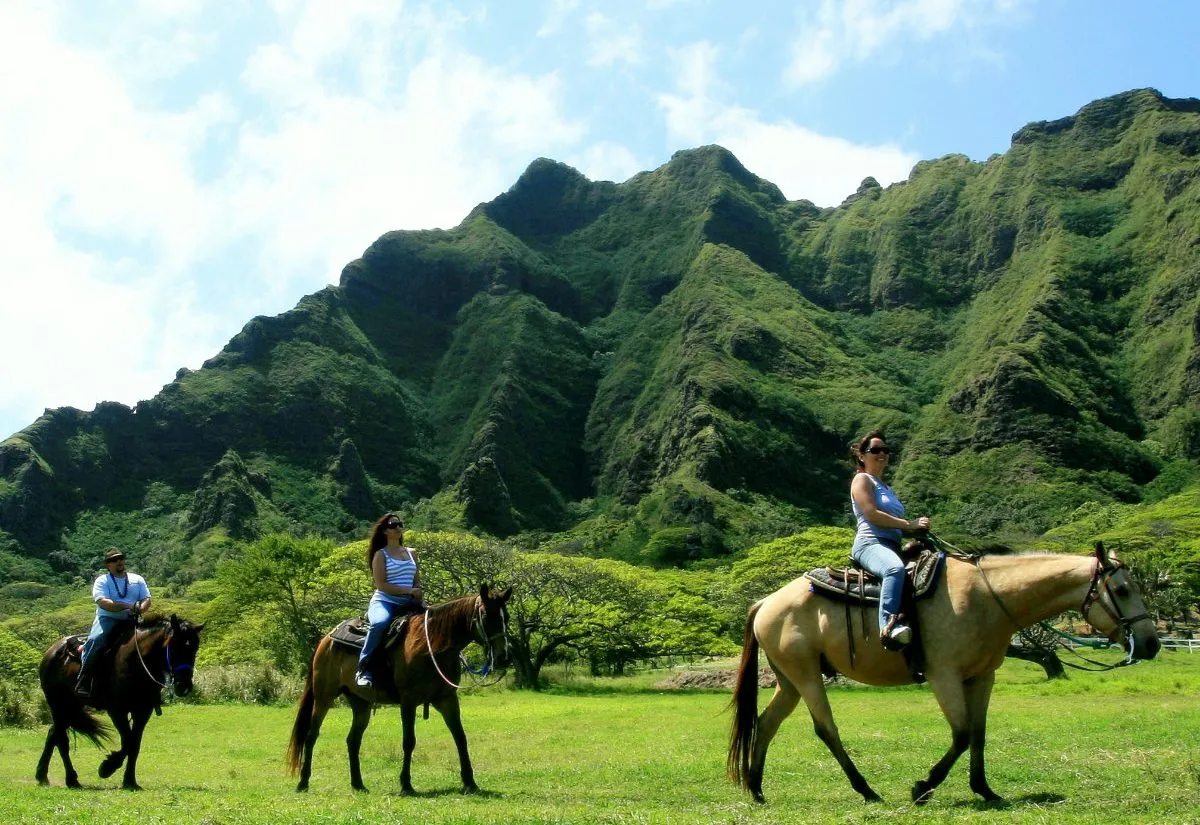 450 hawaii honeymoon island