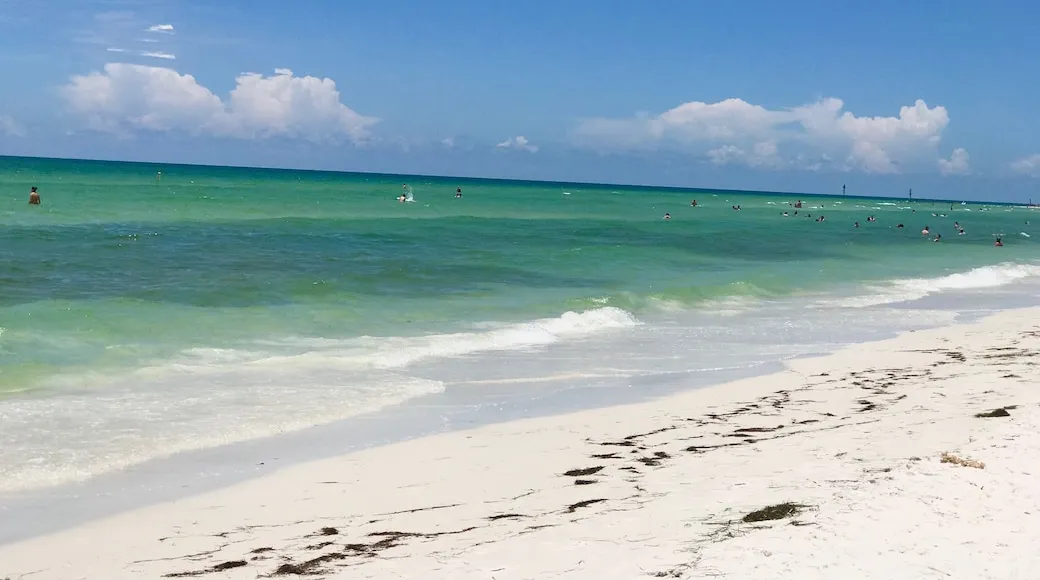 463 honeymoon beach picnic