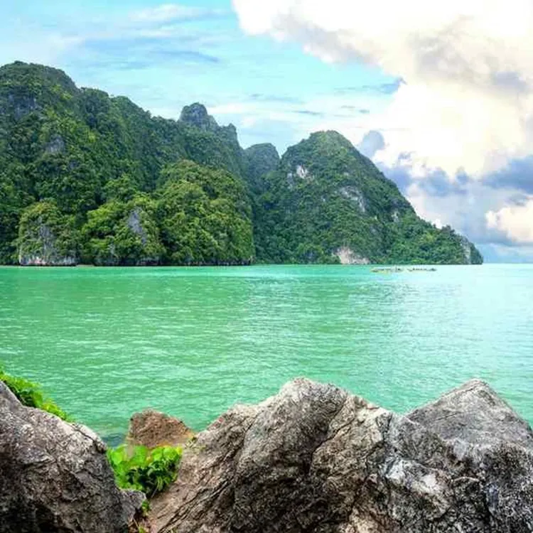 466 koh tao diving