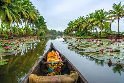 /img/489-kerala-budget-travel.webp