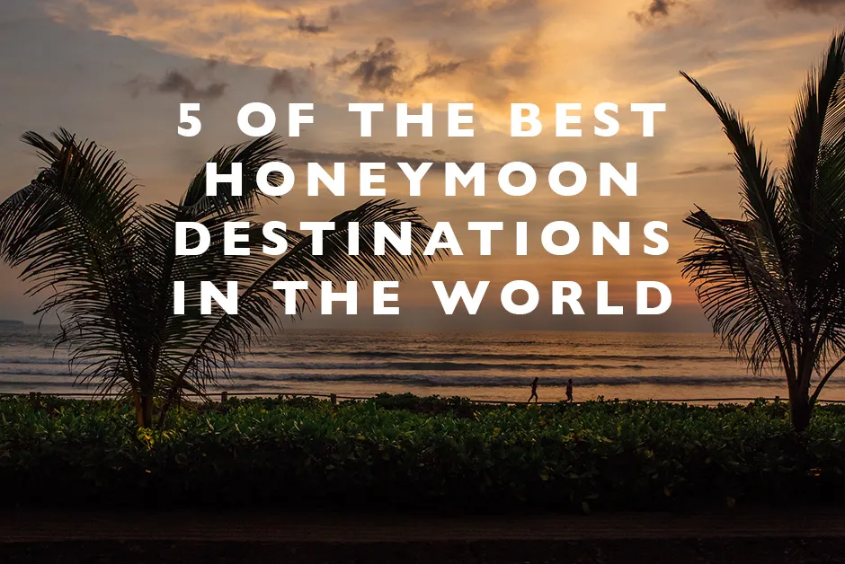 490 bali honeymoon