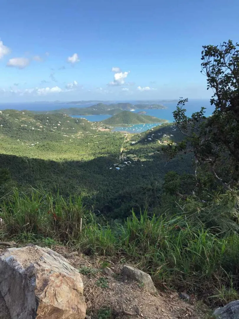 496 barbados honeymoon