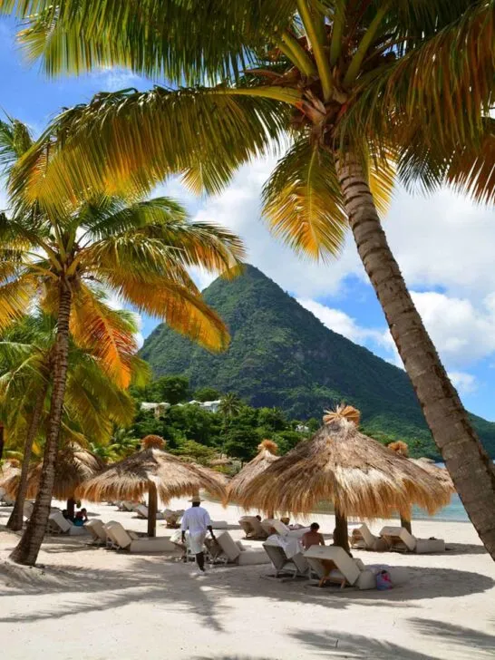 496 grenada honeymoon