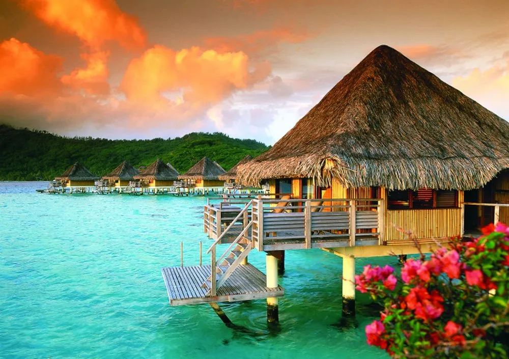 506 maldives honeymoon