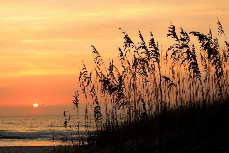 514 beach honeymoon planning