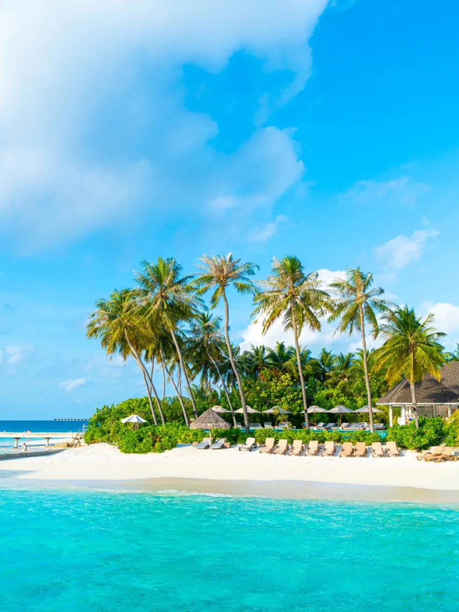 518 maldives honeymoon
