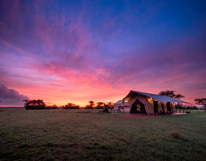 521 luxury honeymoon safari 6