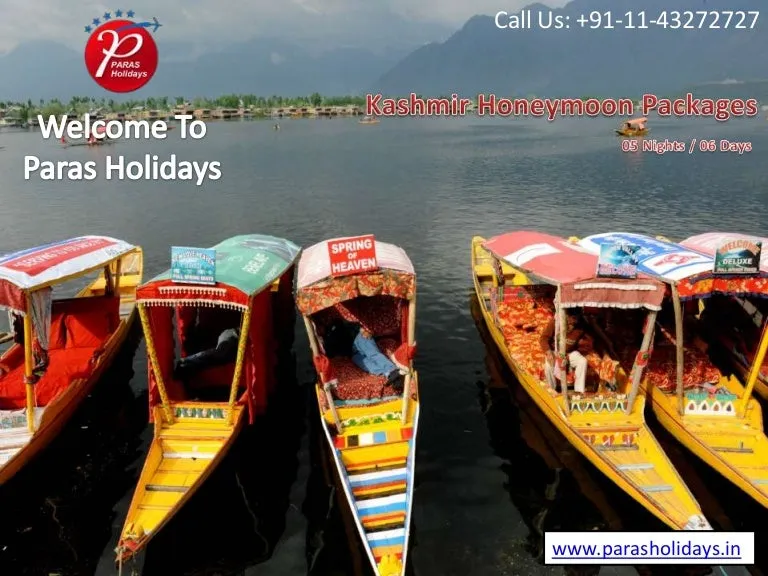 523 kashmir food
