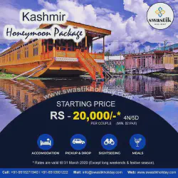 /img/523-kashmir-shopping.webp
