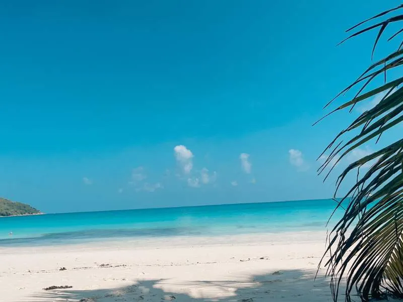 525 seychelles honeymoon resorts beach