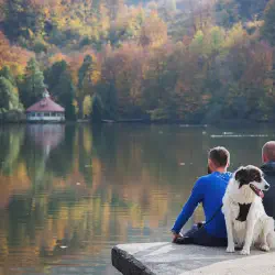/img/529-romantic-getaway-usa.webp