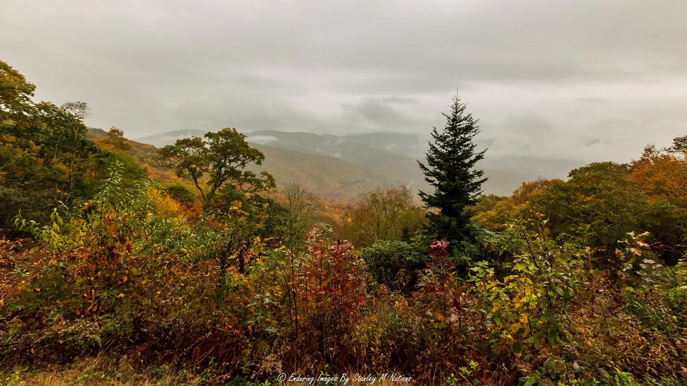 535 smoky mountains honeymoon activities