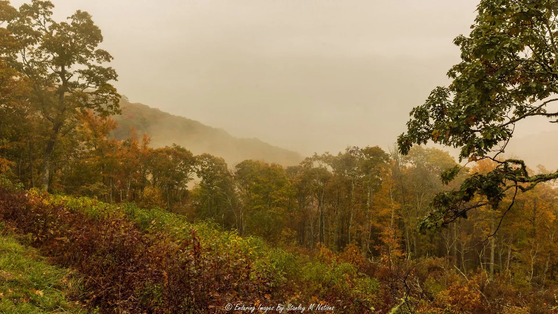 /img/535-smoky-mountains-honeymoon-breakfast.webp