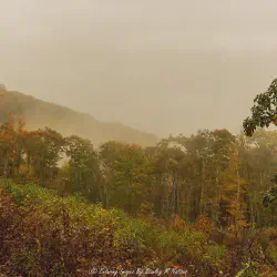 /img/535-smoky-mountains-honeymoon-breakfast.webp
