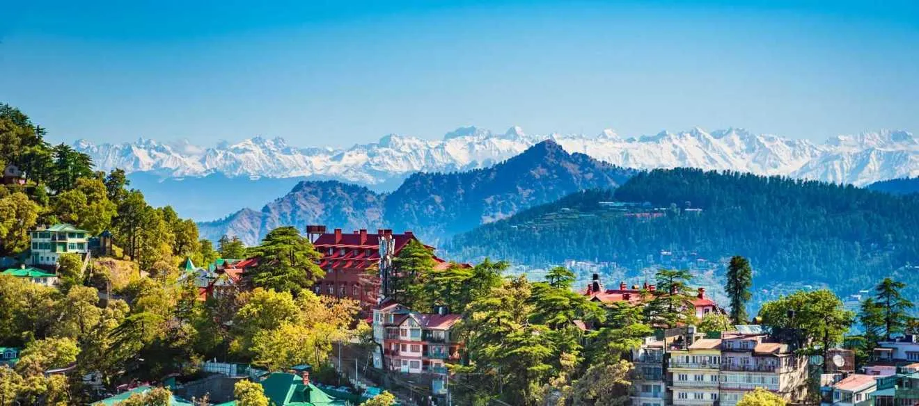 540 couple in shimla snow