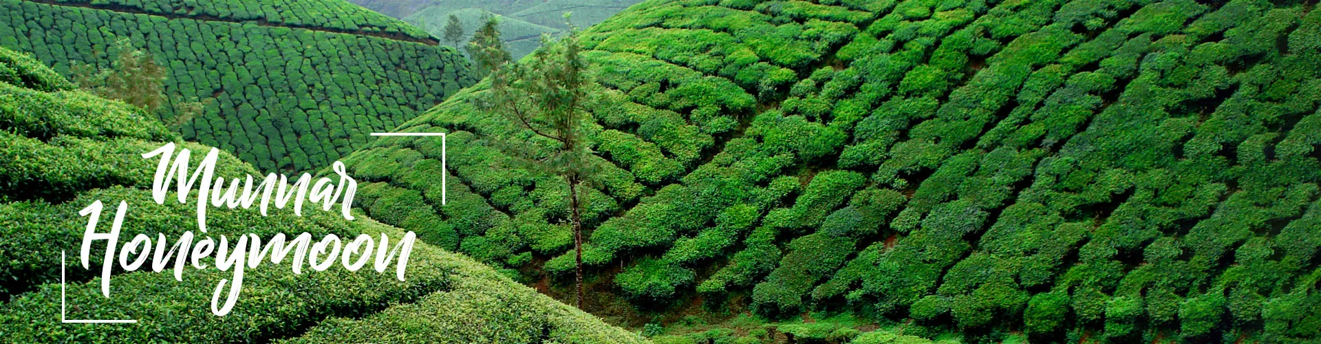 548 munnar honeymoon packages couple hiking