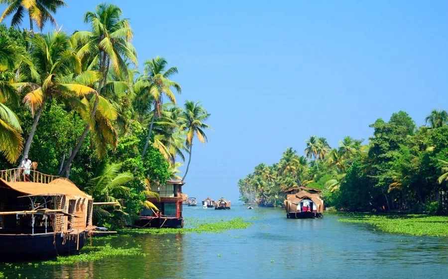 548 munnar honeymoon packages lakeside