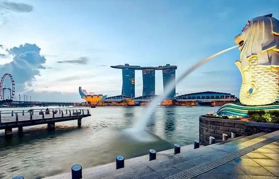 556 restaurant labyrinth singapore