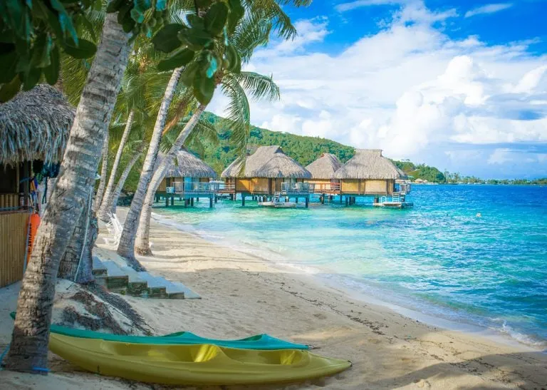 565 maldives honeymoon