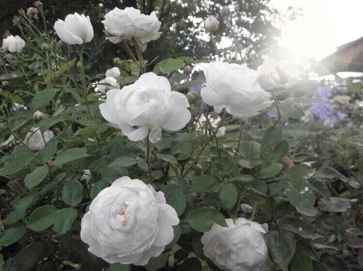 /img/583-capturing-memories.webp