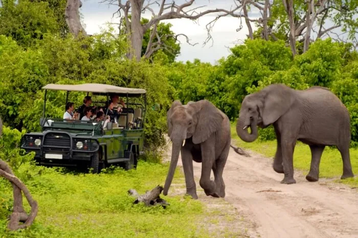 584 addo elephant national park
