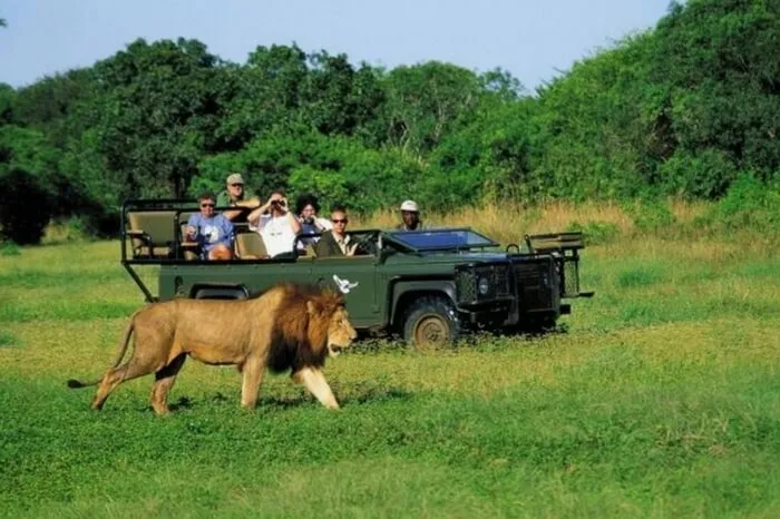 584 sabi sand game reserve