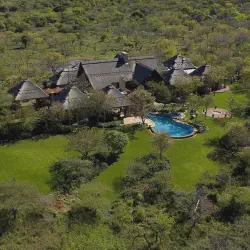 /img/584-south-africa-wildlife.webp