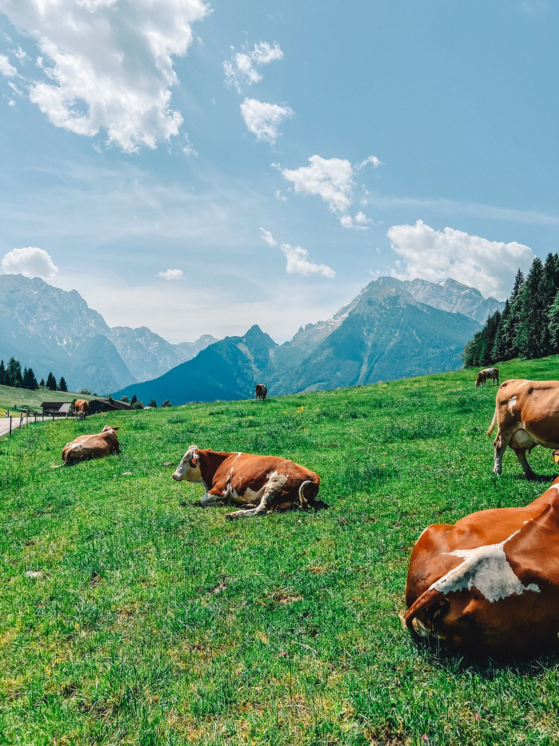 /img/585-budget-travel.webp