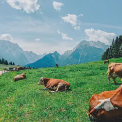 /img/585-budget-travel.webp