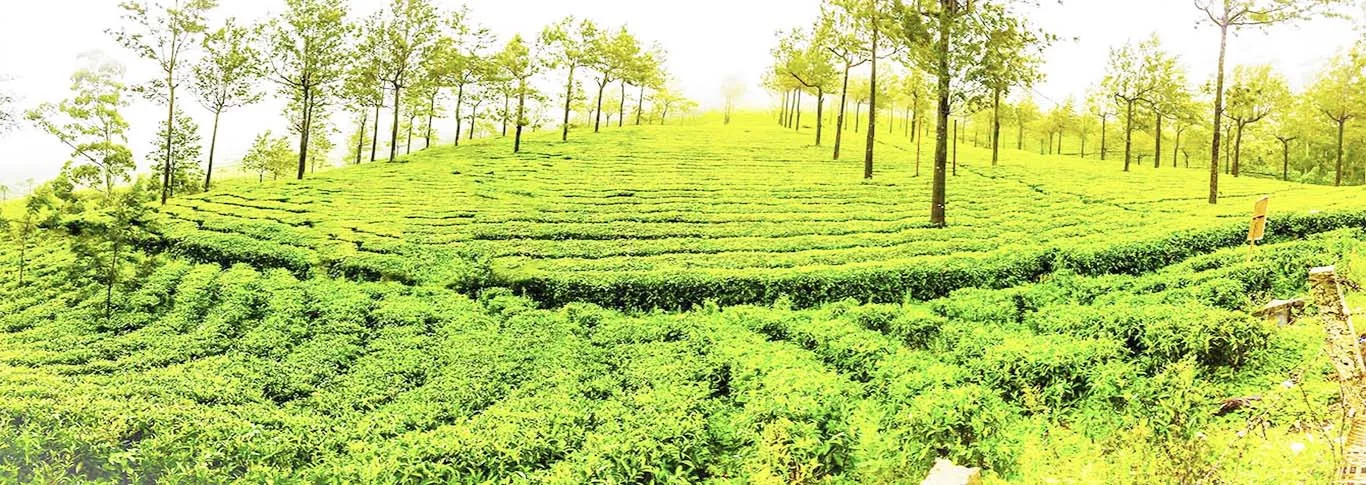 588 ooty adventure activity