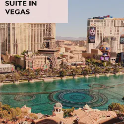 /img/589-las-vegas-honeymoon-planning.webp