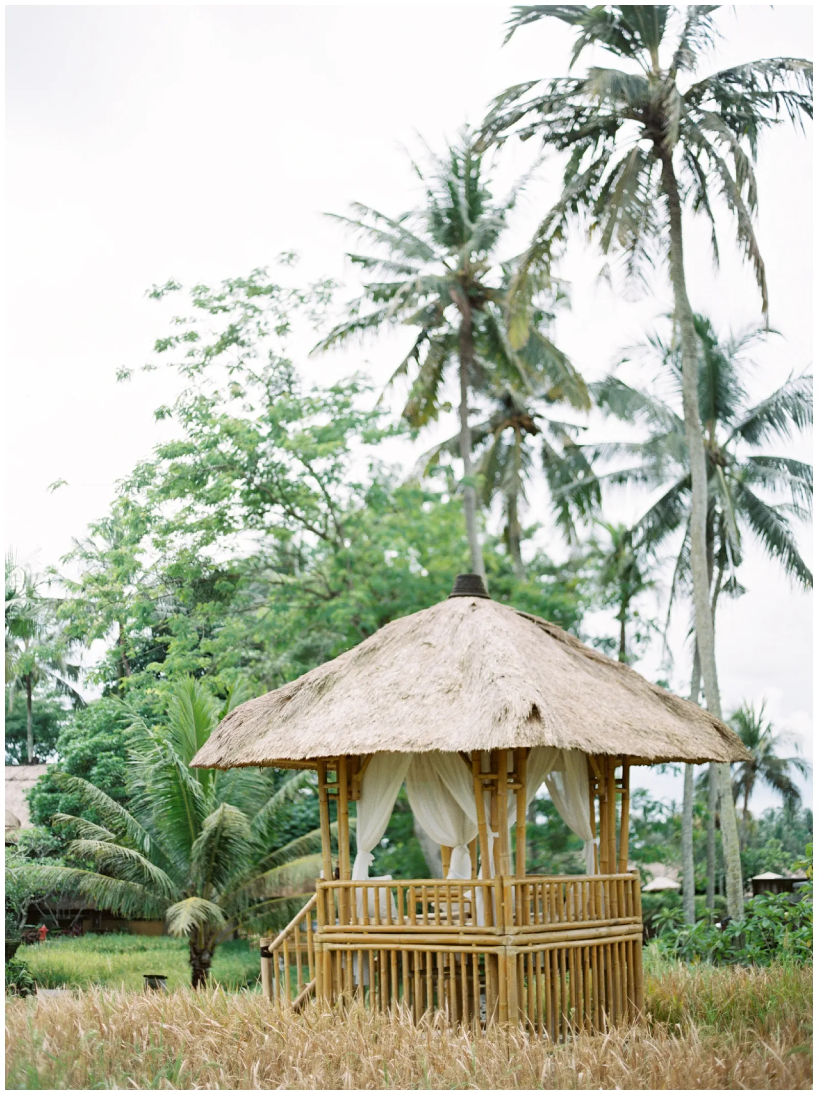 /img/591-indonesia-packing.webp