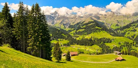 /img/598-switzerland-honeymoon-lake.webp