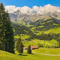 /img/598-switzerland-honeymoon-lake.webp