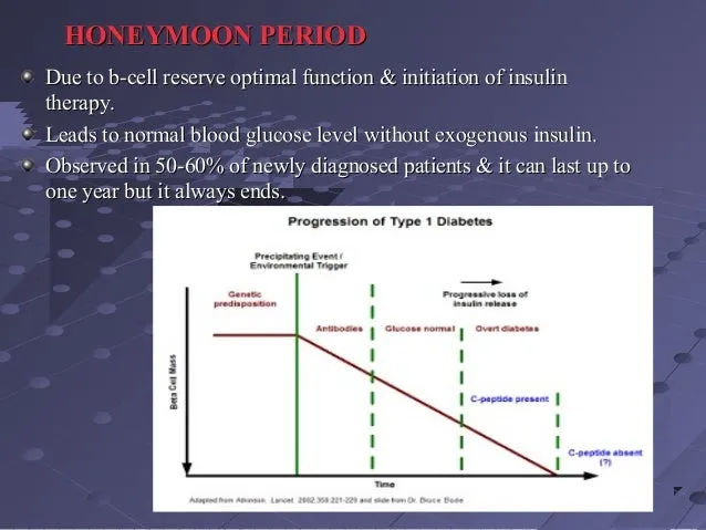 599 honeymoon phase type 1 diabetes intro