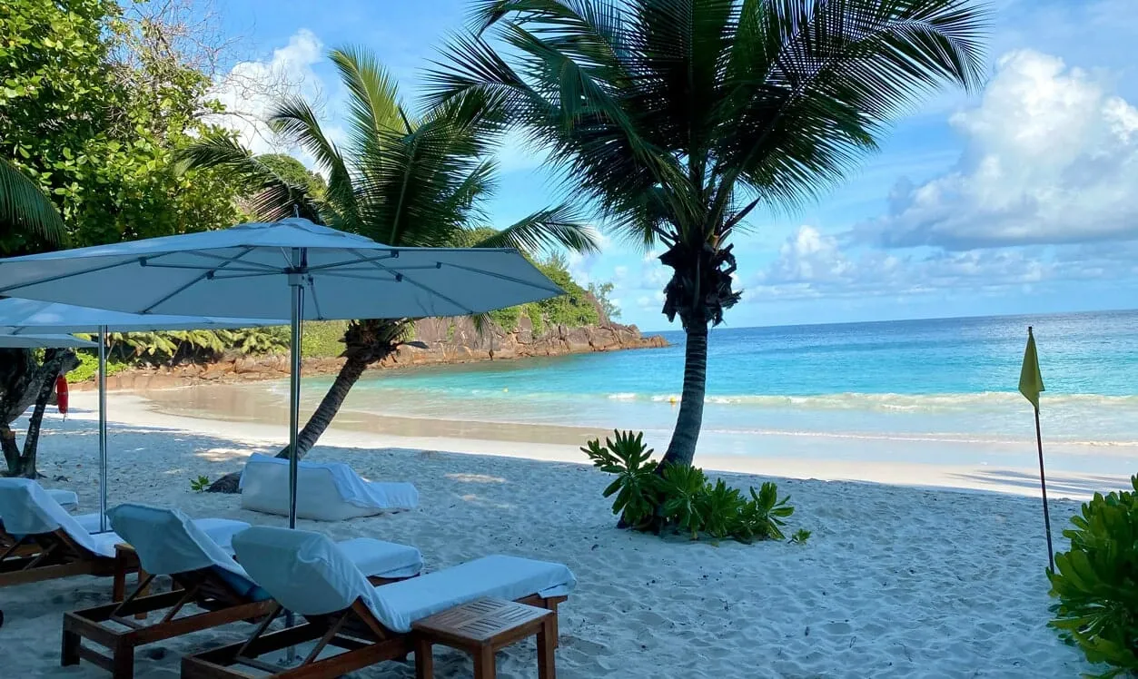 600 maldives honeymoon
