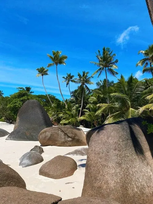 622 maldives honeymoon
